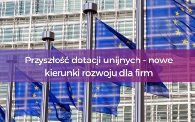 [WEBINAR] Przyszłość dotacji unijnych – nowe kierunki rozwoju dla firm